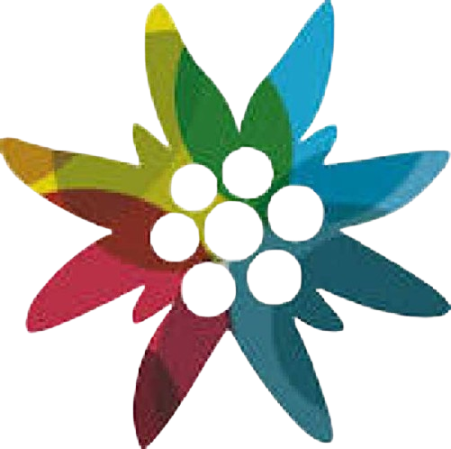 305914435_503772618416966_7755741035883017191_n-removebg-preview